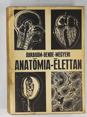 Ábrahám Ambrus Bende Sándor Megyeri János Anatómia Élettan könyv borító